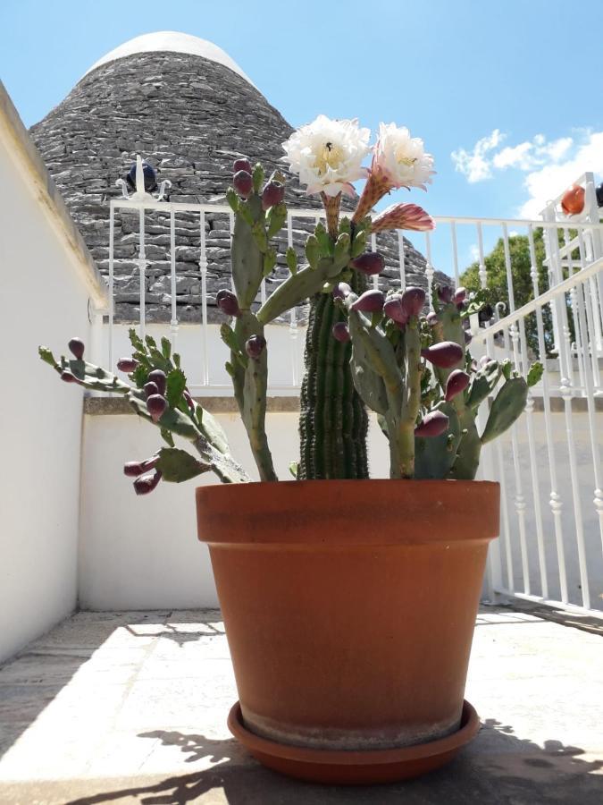 B&B Masseria Nuove Caselle Villa Castelli 外观 照片
