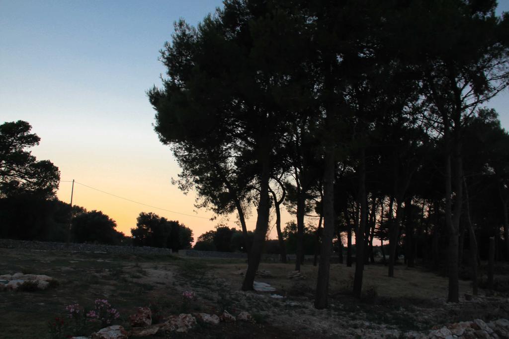 B&B Masseria Nuove Caselle Villa Castelli 外观 照片